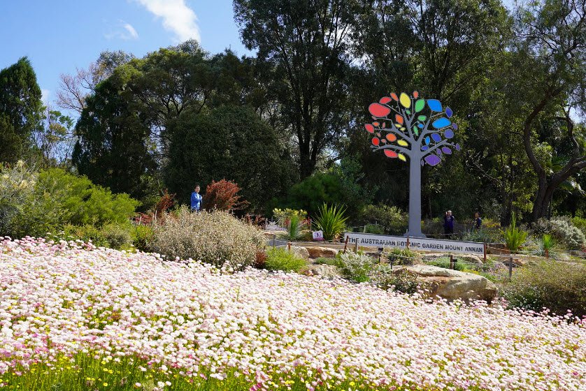 Australian Botanic Garden Mount Annan, Australia